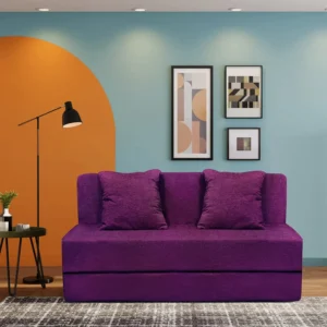 Foldable Sofa Cum Bed